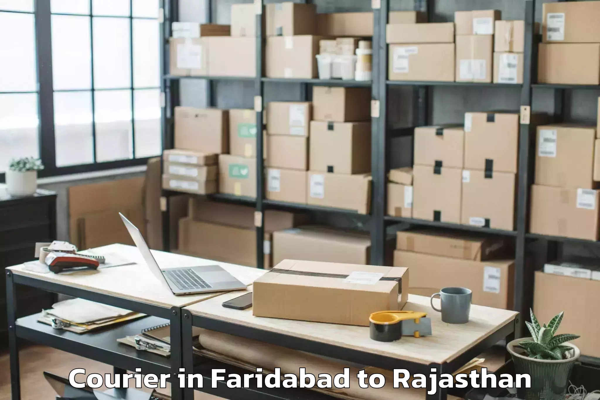 Book Your Faridabad to Dabok Airport Udr Courier Today